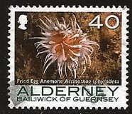 [Marine Life - Corals & Anemones, type KY]