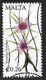 [Maltese Flora - Flowers, type DKQ]