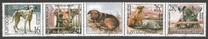 [Animal Protection, type DOR]