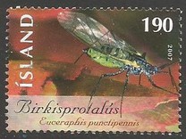 [Insects, type AIM]