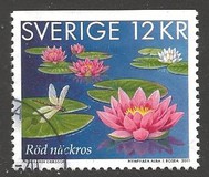 [Flowers - Waterlilies, type CIY]