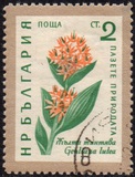 [Flowers, type AJU]