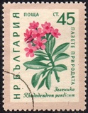 [Flowers, type AJX]