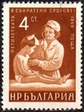 [Five Years Plan (Petoletka), タイプ AMM]