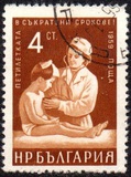 [Five Years Plan (Petoletka), タイプ AMM]