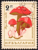 [Mushrooms, ประเภท ANP]