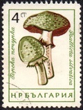 [Mushrooms, ประเภท ANQ]