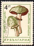 [Mushrooms, ประเภท ANQ]