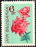 [Rosas., tipo APB1]