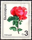 [Roses, tegund BPZ]