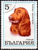 [Dogs, tip BQX]