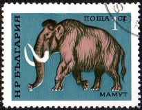 [Prehistoric Animals, type BTI]