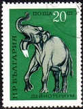 [Prehistoric Animals, type BTM]