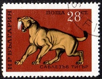 [Prehistoric Animals, type BTN]