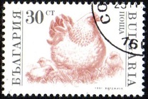[Domestic Animals, type EKH]