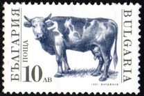 [Domestic Animals, type EKL]