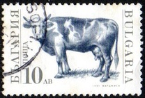 [Domestic Animals, type EKL]
