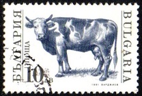 [Domestic Animals, タイプ EKL]