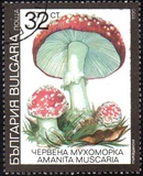 [Poisonous Mushrooms, type EKP]