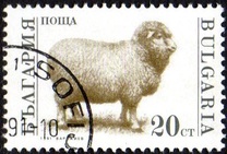 [Domestic Animals, タイプ ELX]