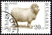 [Domestic Animals, タイプ ELX]