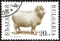 [Domestic Animals, タイプ ELX]