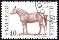 [Domestic Animals, タイプ ELZ]