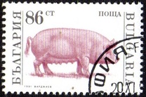 [Domestic Animals, タイプ EMA]