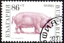 [Domestic Animals, タイプ EMA]