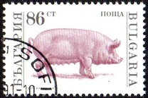 [Domestic Animals, タイプ EMA]