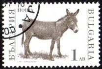 [Domestic Animals, タイプ EMB]