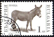 [Domestic Animals, タイプ EMB]