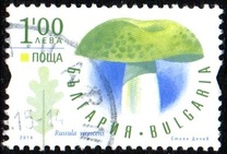 [The Mushrooms, type GWA]