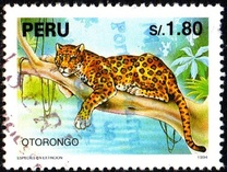 [Endangered Animals, 유형 ANG]