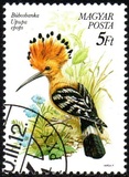 [Protected Birds, type ETT]