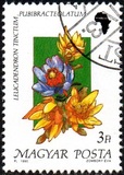 [Flowers, type ETX]
