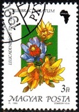 [Flowers, type ETX]