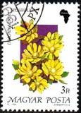 [Flowers, type ETY]