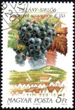 [Wine and Wine Regions, type EUX]