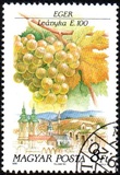 [Wine and Wine Regions, type EUY]