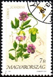 [Flowers of America, typ EVV]