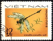 [Dragonflies, tyyppi Q]