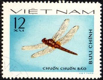 [Dragonflies, tyyppi R]