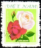 [Roses, tyyppi FZ]