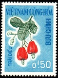 [Fruits, type DA]