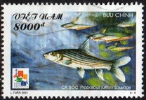 [International Stamp Exhibition "HONG KONG 2001" - Hong Kong, China - Freshwater Fish, tip CEM]