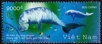 [Animals in Con Dao National Park - Dugong, type CRJ]