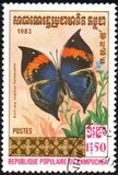 [Butterflies, प्रकार KJ]