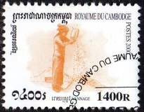 [Rice Cultivation, type BST]