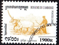 [Rice Cultivation, type BSV]